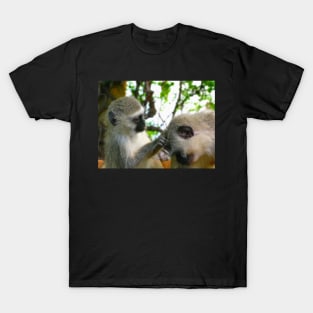 Vervet Monkeys, Kruger National Park, South Africa T-Shirt